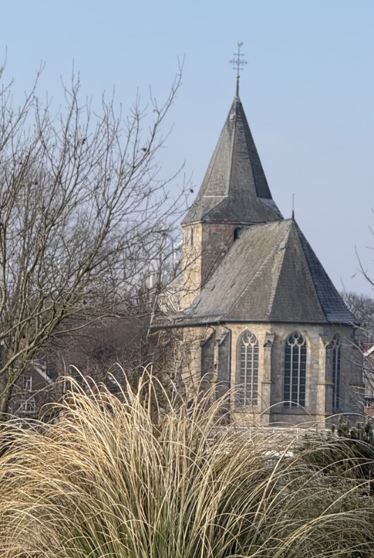 Profilbild von August Brinker